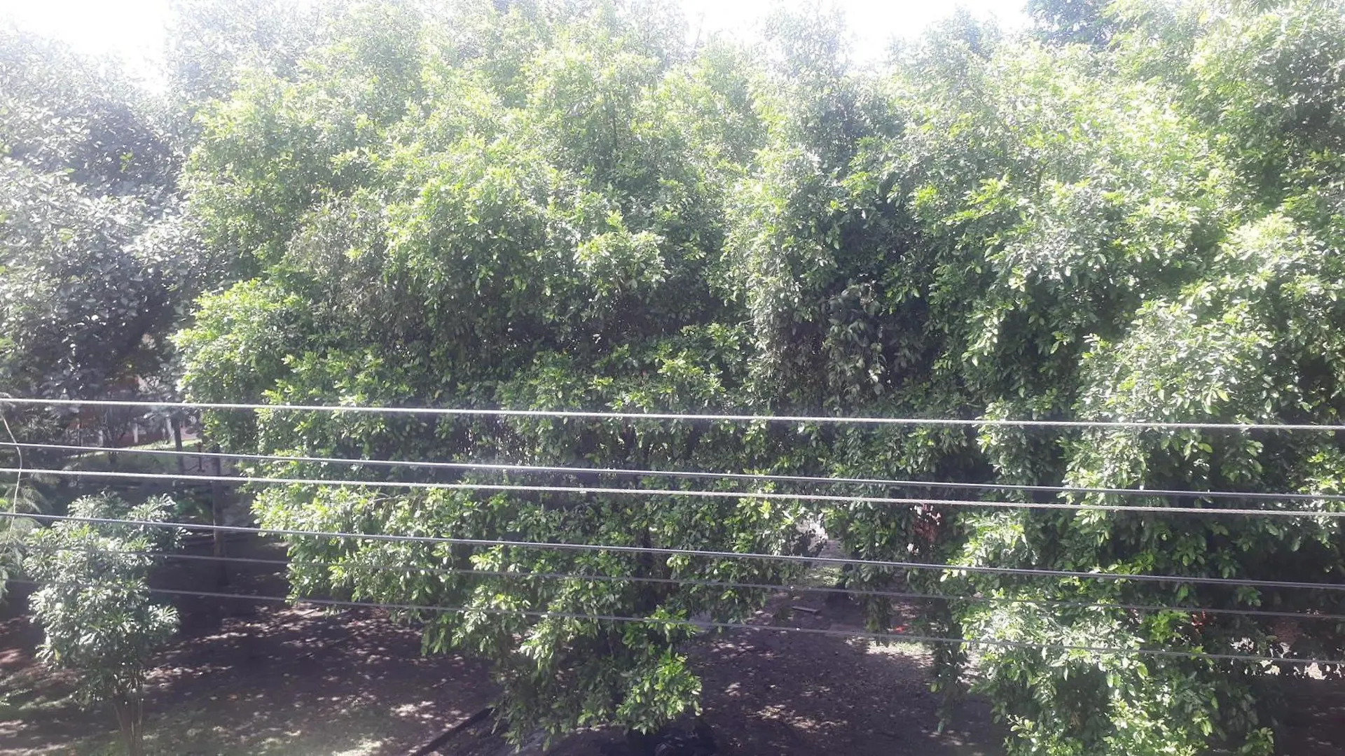 Privat bolig Habitacion En Apartamento En Los Alcazares Cali